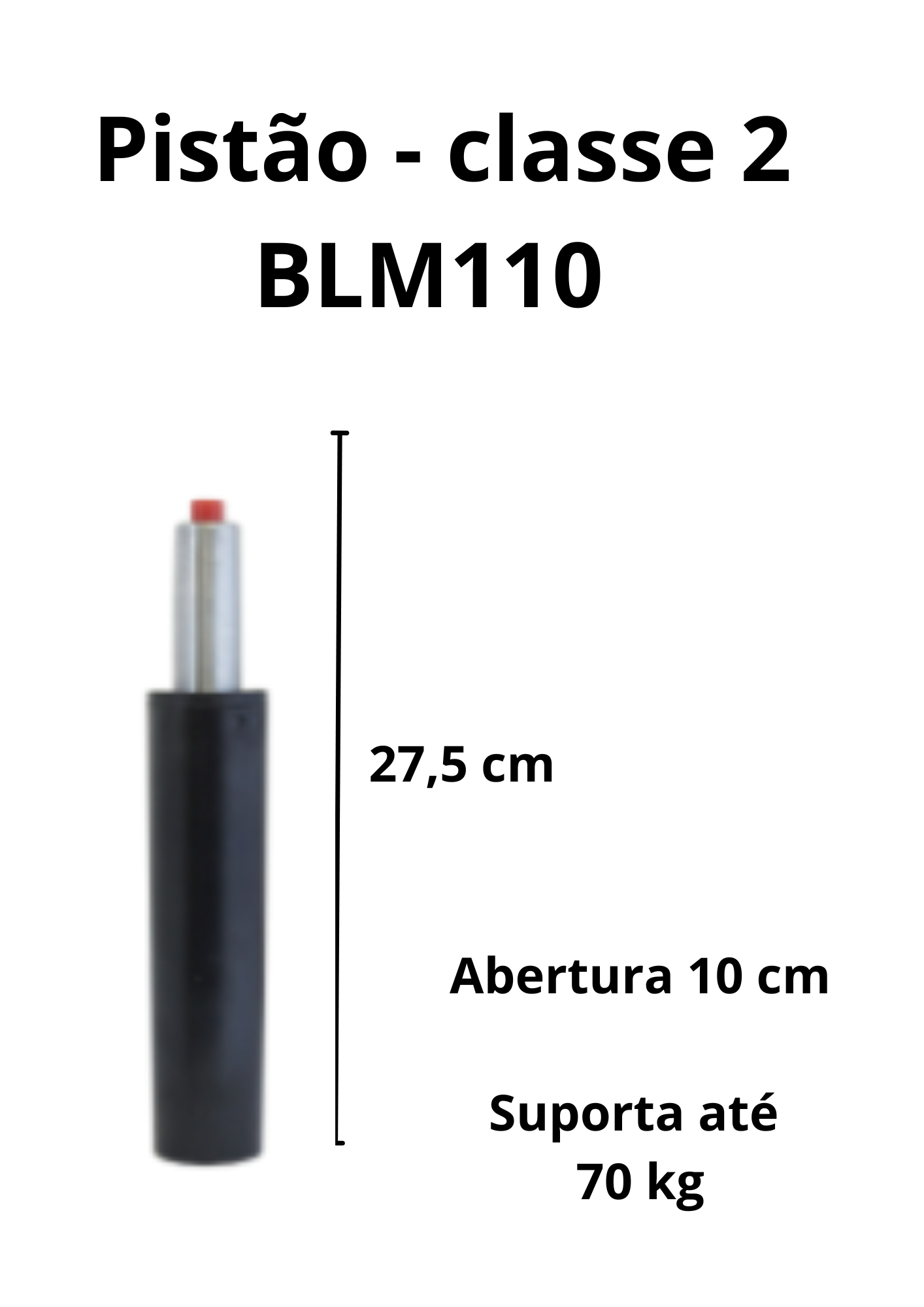 Pistão Classe 2